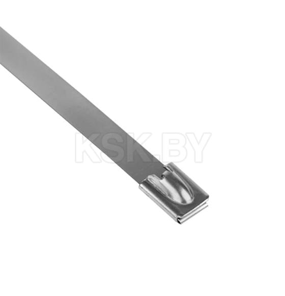 Хомут AISI 304 из нержавеющей стали, 7.9x200 (10 шт.) FlexLock PROxima (plc-fl-tss-304-7.9x200-r) 