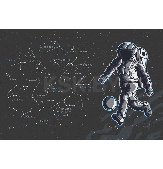 Фотообои Vimala Космонавт FCZ003306, 2700х4000мм (FCZ003306) 