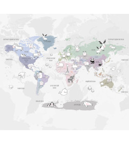 Фотообои Vimala Карта мира FBZ003214, 2700х3000мм