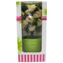 Цветы искусственные в горшке из полимерных материалов DomiNado Y-604 (Y-604) 