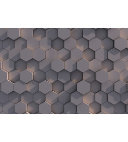 Фотообои Vimala 3D Соты FCZ004793, 2700х4000мм
