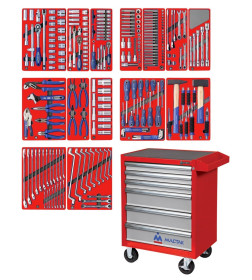Тележка инструментальная с набором инструментов "ЛИДЕР" (270 предметов) МАСТАК 52-06270R
