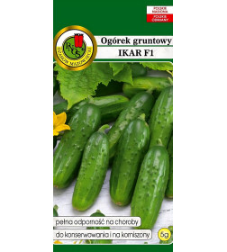 Огурец Икар 5г семена.