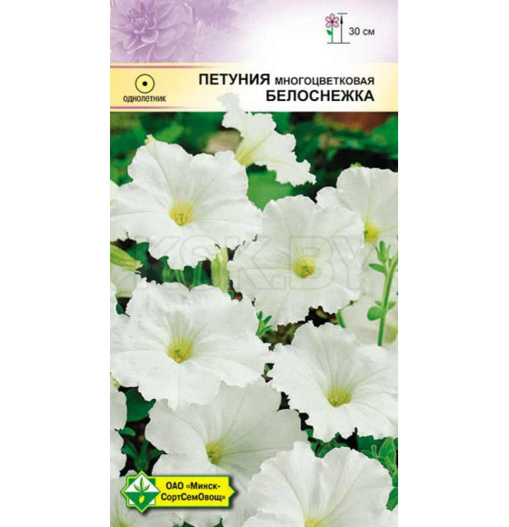Петуния гибр многоцветн. Белоснежка 200 шт