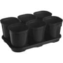 Набор горшков для выращивания рассады с поддоном, 6 шт х 400 мл, Smart Solution, INGREEN, ING6035ЧР (ING6035ЧР) 