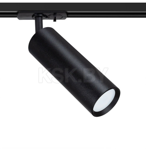 Светильник потолочный Arte Lamp BEID A1515PL-1BK (A1515PL-1BK) 