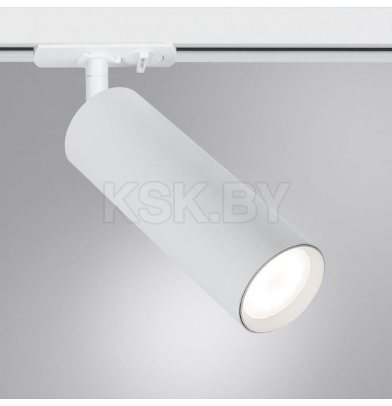 Светильник потолочный Arte Lamp BEID A1515PL-1WH (A1515PL-1WH) 