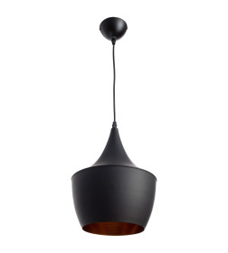 Светильник подвесной Arte Lamp CAPPELLO A3407SP-1BK