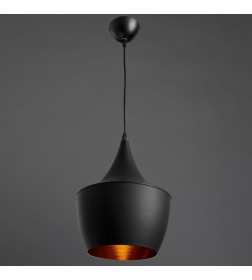 Светильник подвесной Arte Lamp CAPPELLO A3407SP-1BK