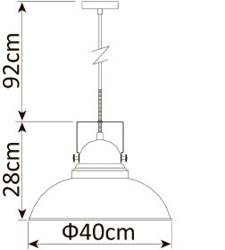 Светильник подвесной Arte Lamp MARTIN A5213SP-1BR