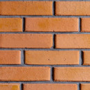 Кирпич гипсовый Туровский оранж 250х63х12 (±2мм)  кол.в уп. 0.5 м2  (2507 кам.мельн) 