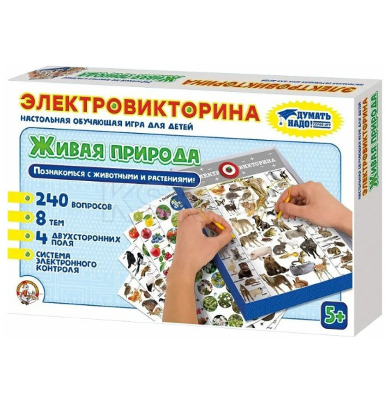 Игра Электровикторина  