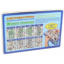 Игра Электровикторина  