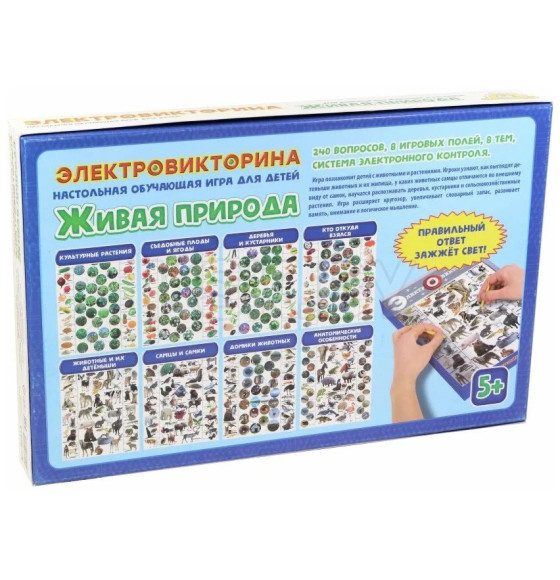 Игра Электровикторина  