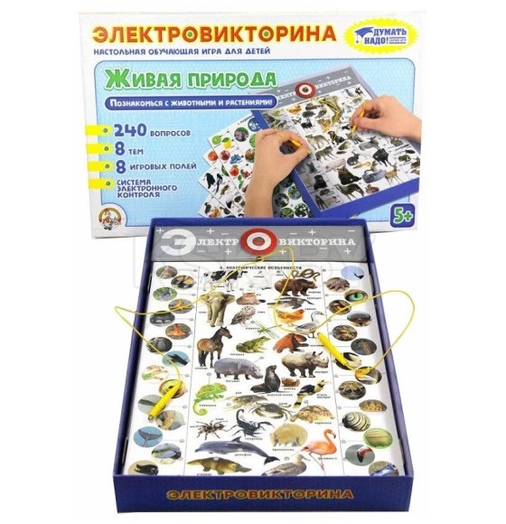 Игра Электровикторина  