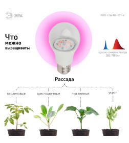 Фитолампа для растений светодиодная 10 ВТ Е27 красно-синего спектра (15 мкмоль/c) FITO-10W-RB-E27-K IP20 ЭРА
