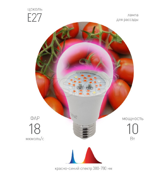 Фитолампа для растений светодиодная 10 ВТ Е27 красно-синего спектра (18 мкмоль/c) FITO-10W-RB-E27 IP20 ЭРА (Б0050600) 