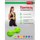 Гантель неопреновая, 2 кг, салатовая (SF 0542) 