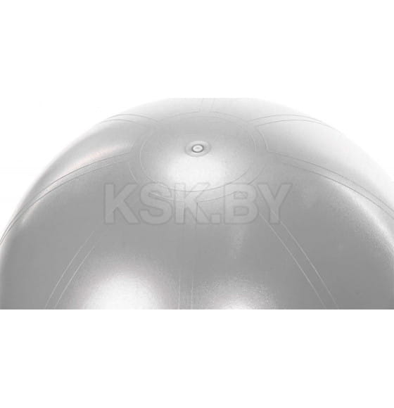 Мяч для фитнеса «ФИТБОЛ-65 с эспандерами» (SF 0216) 