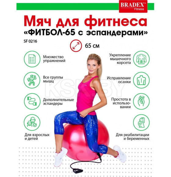 Мяч для фитнеса «ФИТБОЛ-65 с эспандерами» (SF 0216) 