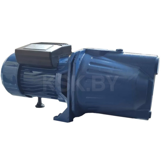Насос поверхностный MAXPUMP JSW 900
