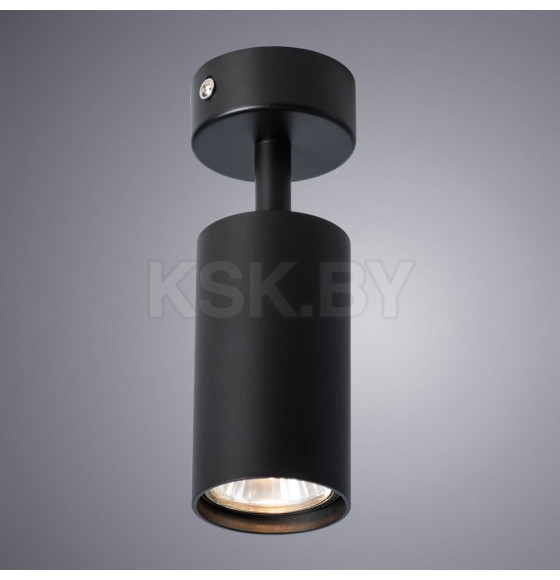 Светильник потолочный Arte Lamp AQUARIUS A3216PL-1BK (A3216PL-1BK) 