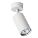 Светильник потолочный Arte Lamp AQUARIUS A3216PL-1GY (A3216PL-1GY) 