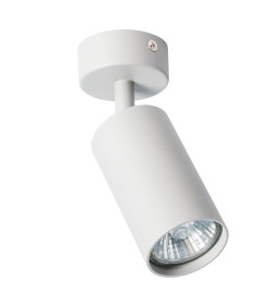 Светильник потолочный Arte Lamp AQUARIUS A3216PL-1GY