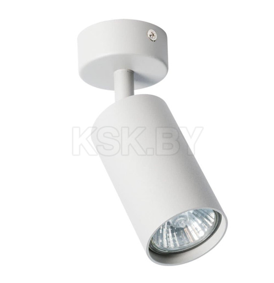 Светильник потолочный Arte Lamp AQUARIUS A3216PL-1GY (A3216PL-1GY) 