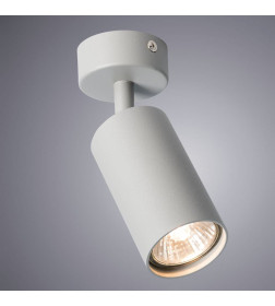 Светильник потолочный Arte Lamp AQUARIUS A3216PL-1GY