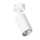 Светильник потолочный Arte Lamp AQUARIUS A3216PL-1WH (A3216PL-1WH) 