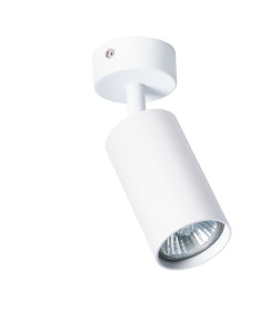 Светильник потолочный Arte Lamp AQUARIUS A3216PL-1WH