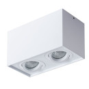Светильник потолочный Arte Lamp FACTOR A5544PL-2WH (A5544PL-2WH) 