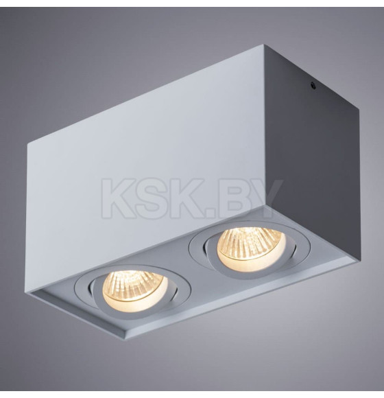 Светильник потолочный Arte Lamp FACTOR A5544PL-2WH (A5544PL-2WH) 