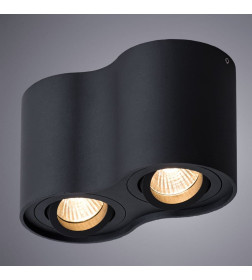 Светильник потолочный Arte Lamp FALCON A5645PL-2BK