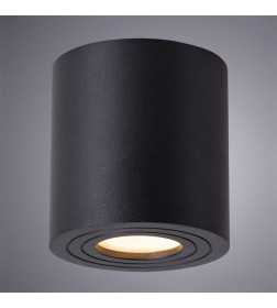 Светильник потолочный Arte Lamp GALOPIN A1460PL-1BK