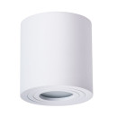 Светильник потолочный Arte Lamp GALOPIN A1460PL-1WH (A1460PL-1WH) 