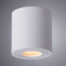 Светильник потолочный Arte Lamp GALOPIN A1460PL-1WH (A1460PL-1WH) 