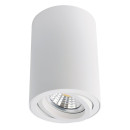 Светильник потолочный Arte Lamp SENTRY A1560PL-1WH (A1560PL-1WH) 