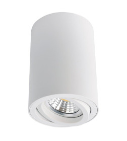 Светильник потолочный Arte Lamp SENTRY A1560PL-1WH