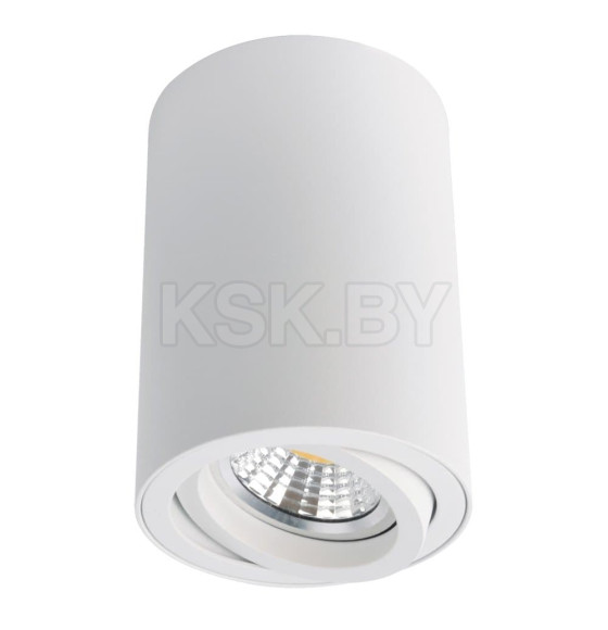 Светильник потолочный Arte Lamp SENTRY A1560PL-1WH (A1560PL-1WH) 