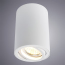 Светильник потолочный Arte Lamp SENTRY A1560PL-1WH (A1560PL-1WH) 