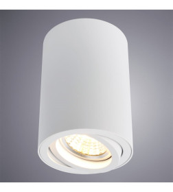 Светильник потолочный Arte Lamp SENTRY A1560PL-1WH