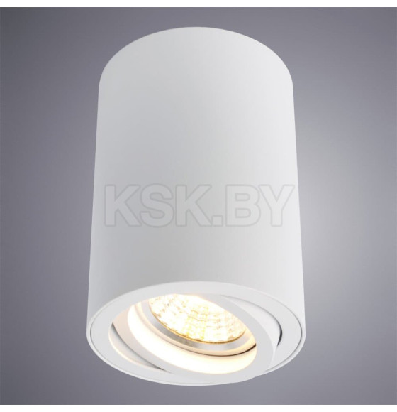 Светильник потолочный Arte Lamp SENTRY A1560PL-1WH (A1560PL-1WH) 