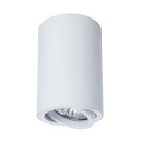 Светильник потолочный Arte Lamp SENTRY A1560PL-1WH (A1560PL-1WH) 