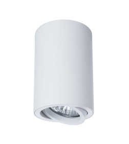 Светильник потолочный Arte Lamp SENTRY A1560PL-1WH