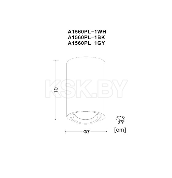 Светильник потолочный Arte Lamp SENTRY A1560PL-1WH (A1560PL-1WH) 