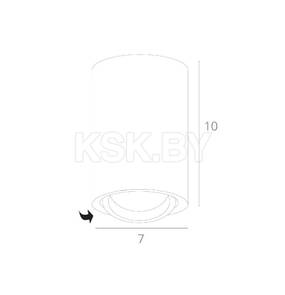 Светильник потолочный Arte Lamp SENTRY A1560PL-1WH (A1560PL-1WH) 