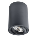 Светильник потолочный Arte Lamp SENTRY A1560PL-1BK (A1560PL-1BK) 