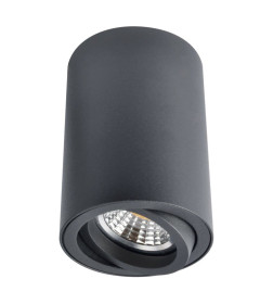 Светильник потолочный Arte Lamp SENTRY A1560PL-1BK